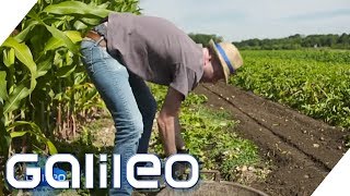 Der harte Alltag eines Bauerns  Galileo  ProSieben [upl. by Kellen]