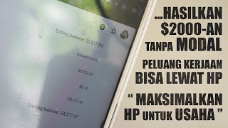 Tembus 2000 Sebulan Peluang Usaha Lewat HP Tanpa Modal Paling Gampang Untuk Pemula  Overview [upl. by Llertnom691]