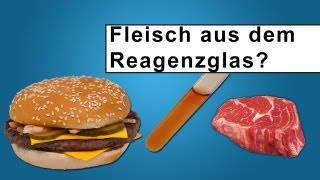 Fleisch aus dem Reagenzglas  Der erste ChemieBurger [upl. by Gerry22]