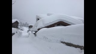 SchneeChaos in TirolÖsterreich Januar 2019 349 [upl. by Sherri]