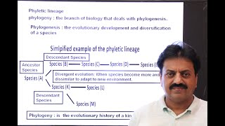 First Year Biology  Chapter 1  Part 6  Phyletic Lineage [upl. by Proctor405]