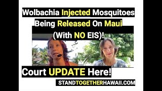 UPDATE Wolbachia Injected Mosquitoes Being Released On Maui With NO EIS [upl. by Nabi555]