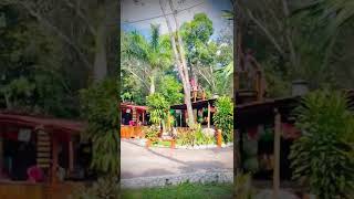 Zip lining In The Beautiful Cancun Mexico 30th Birthday Trip shorts [upl. by Koball]