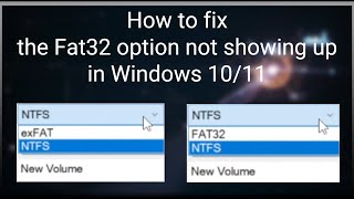 How to Fix the FAT32 Option Not Showing Up in Windows 1011 [upl. by Acassej]