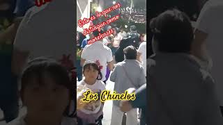 CHINELOS UNA TRADICIÓN DEL ESTADO DE MORELOS 🇲🇽 🎭🎉🎊 chinelosdemorelos tradicionmorelense chinelos [upl. by Adnor983]