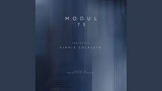 Modul 73 feat Vinnie Colaiuta Steve Jenkins [upl. by Schreib452]