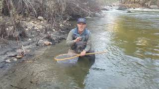 Lower Kern River Fly Fishing Report December 2 2019 [upl. by Cornela]