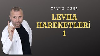 LEVHA HAREKETLERİ 1 tytcoğrafya aytcoğrafya coğrafya kpsscoğrafya [upl. by Anyzratak803]