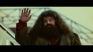 Merci Hagrid  Harry Potter 1 à lécole des sorciers [upl. by Ahsocin]