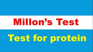 Millons TestTest for Albumin [upl. by Recnal53]