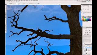 Photoshop Tip How to fix sharpening edge halos in Photoshop [upl. by Aubrie]