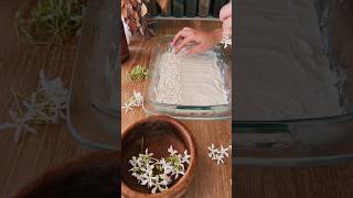 how jasmine perfume was made in the 18th century  30 day process [upl. by Eerized]