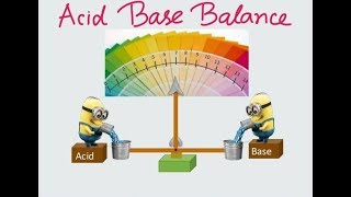 Basics of Acid Base Balance [upl. by Motch]