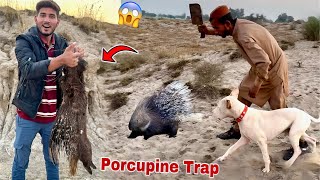 Finally Finally Porcupine Say Paker Li [upl. by Germaun660]