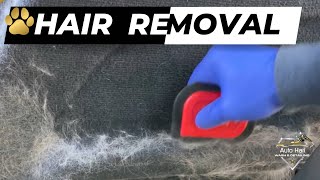 Howto clean the CAR from dog hair  Detailing  Car  cardetailing  satisfying  video [upl. by Meagan]