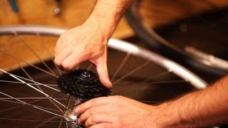 How to Adjust a Bike Freewheel  Bicycle Repair [upl. by Lucie]