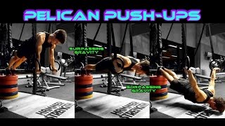 Pelican Push ups  Full ROM [upl. by Stark]