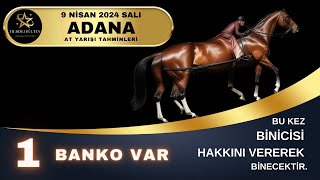 9 Nisan 2024 Salı Adana At Yarışı Tahminleri [upl. by Tarrant]