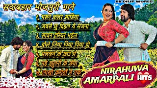 video  Dinesh Lal Yadav amp Amrapali Dubey Song 2024  dineshlalyadav amrapalidubey bhojpurisong [upl. by Schreib]