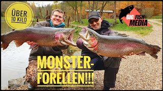 Die Monster im Forellensee  Wir fangen Forellen über 10 Kilo [upl. by Airdnalahs]