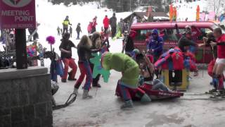 Skolmax Harlem Shake [upl. by Oramlub]