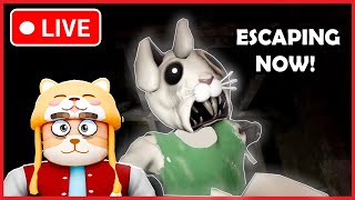 Roblox Piggy Decay Chapter Escape [upl. by Madea]