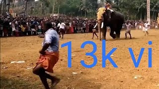 Edappal Kulangara Utsavam Elephant in Violent Must Watch [upl. by Ahsined406]