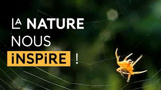 Biomimétisme  des idées dans la nature [upl. by Belle888]