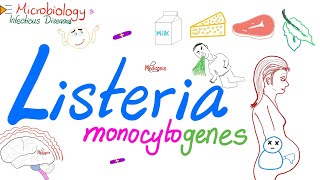 Listeria monocytogenes Characteristics  Microbiology 🧫 amp Infectious Diseases [upl. by Ardnod]