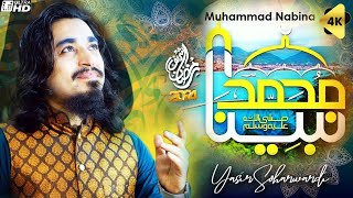 MUHAMMAD NABINA  YASIR SOHARWARDI  RAMZAN 20241445 NEW NAAT  محمد نبینا [upl. by Ydarg]