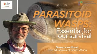 Parasitoid Wasps Essential for our Survival  Simon van Noort [upl. by Deth]