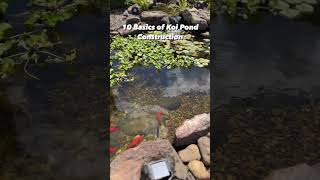 Creating Your Dream Koi Pond 10 Essential Steps [upl. by Pardner]