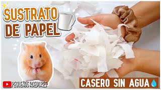 Como HACER SUSTRATO para HAMSTER CASERO SIN AGUA 🐹💧 [upl. by Annahsor703]