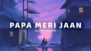 ANIMAL PAPA MERI JAAN SlowedReverb Ranbir Kapoor  Chilled Tunes [upl. by Klarika49]