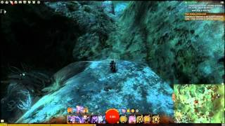 Guild Wars 2  Shelter Docks Vista Point Malchors Leap PC [upl. by Ellimahs274]