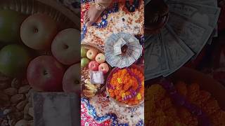 Tihar Special Video tihar tiharsong tiharviralvideo [upl. by Yhtorod593]