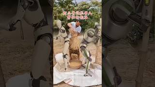 robotsandsculpturedaily funnydaily farming threshingricerobotic ai technology ytshorts [upl. by Lydell]