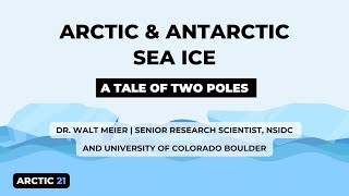 Arctic 21 Current State of Sea Ice Cover [upl. by Llovera]