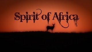 Awesome African Wildlife Video  Spirit Of Africa [upl. by Hesther]