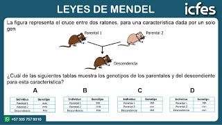 📚 ICFES 2024  Ciencias Naturales Leyes de Mendel [upl. by Crispin]