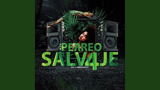 Mix Perreo Salvaje [upl. by Dibbrun]