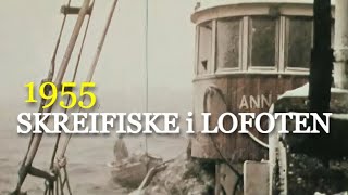 Skreifiske i Lofoten  1955 En kald opplevelse om vinteren [upl. by Giana]