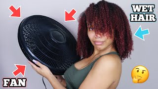 I USED A FAN TO DRY MY THICK NATURAL HAIR [upl. by Vogele]