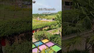 Sula Vineyards Nashik [upl. by Karena524]