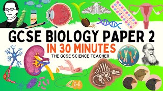 All of GCSE BIOLOGY Paper 2 in 30 minutes  The GCSE Science Teacher [upl. by Helse768]