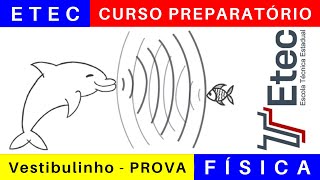 Vestibulinho ETEC 2025 🎯 Correção da Prova de FÍSICA etec 2024 BoraETEC [upl. by Hansiain]