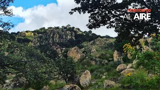 Inmobiliarias invaden bosque con aval del Gobierno de Zapopan Es área protegida acusan vecinos [upl. by Crutcher389]