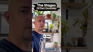 The stages of plant ownership plants plantlife houseplant plant funny plantparent indoorplant [upl. by Arriat]