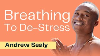 Use Breathwork To Heal Your Body with Andrew Sealy [upl. by Nadruoj]