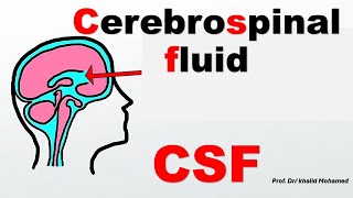 CSF part 3 Interpretation of chemical analysis [upl. by Akiner]